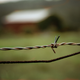 Illustration for article titled Barbed Wires Dark, Deadly History